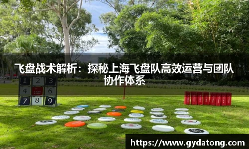 飞盘战术解析：探秘上海飞盘队高效运营与团队协作体系