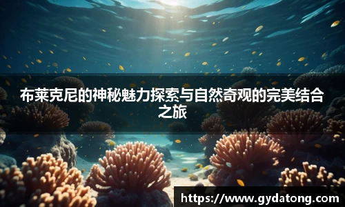 bwin必赢国际