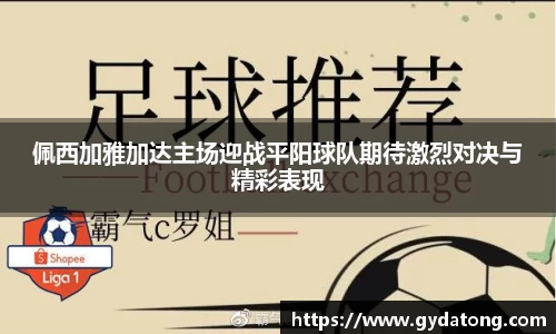 bwin必赢国际