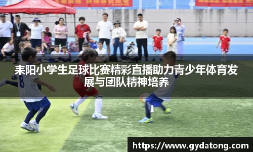 bwin必赢国际